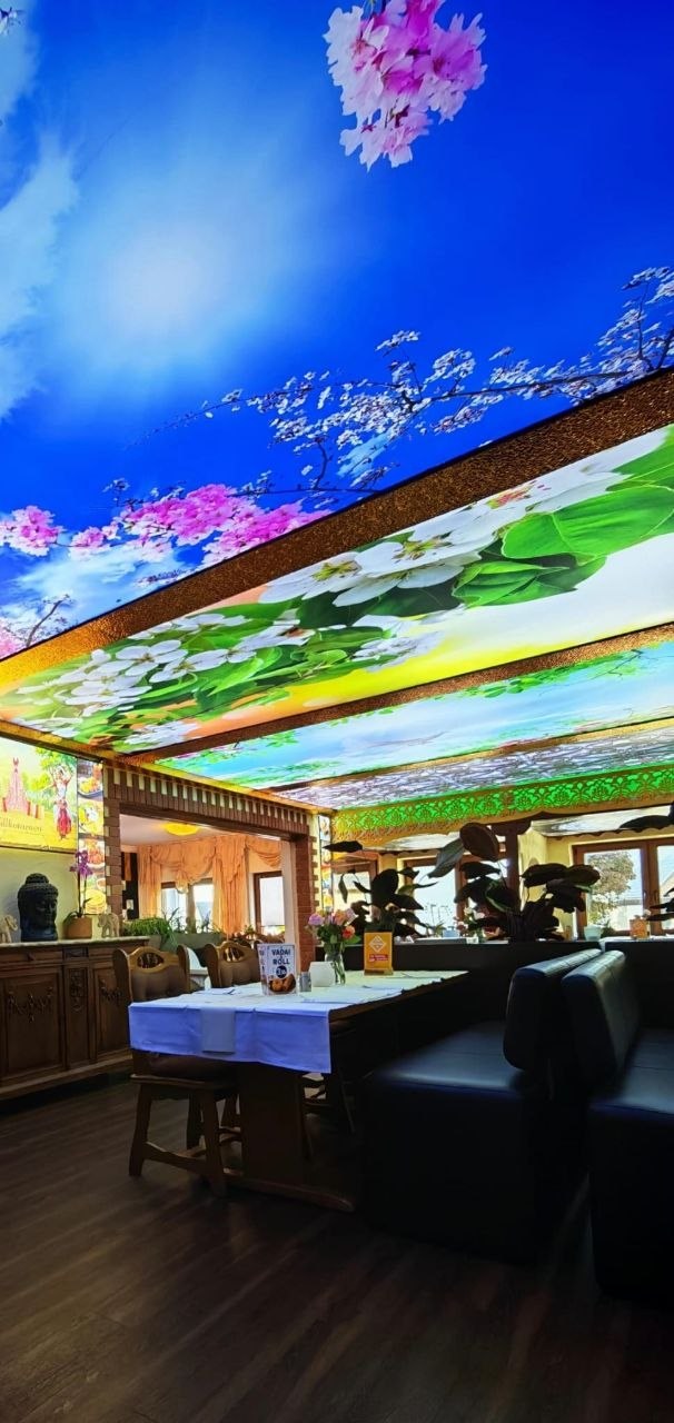 Bedruckte, beleuchtete Decke im Restaurant